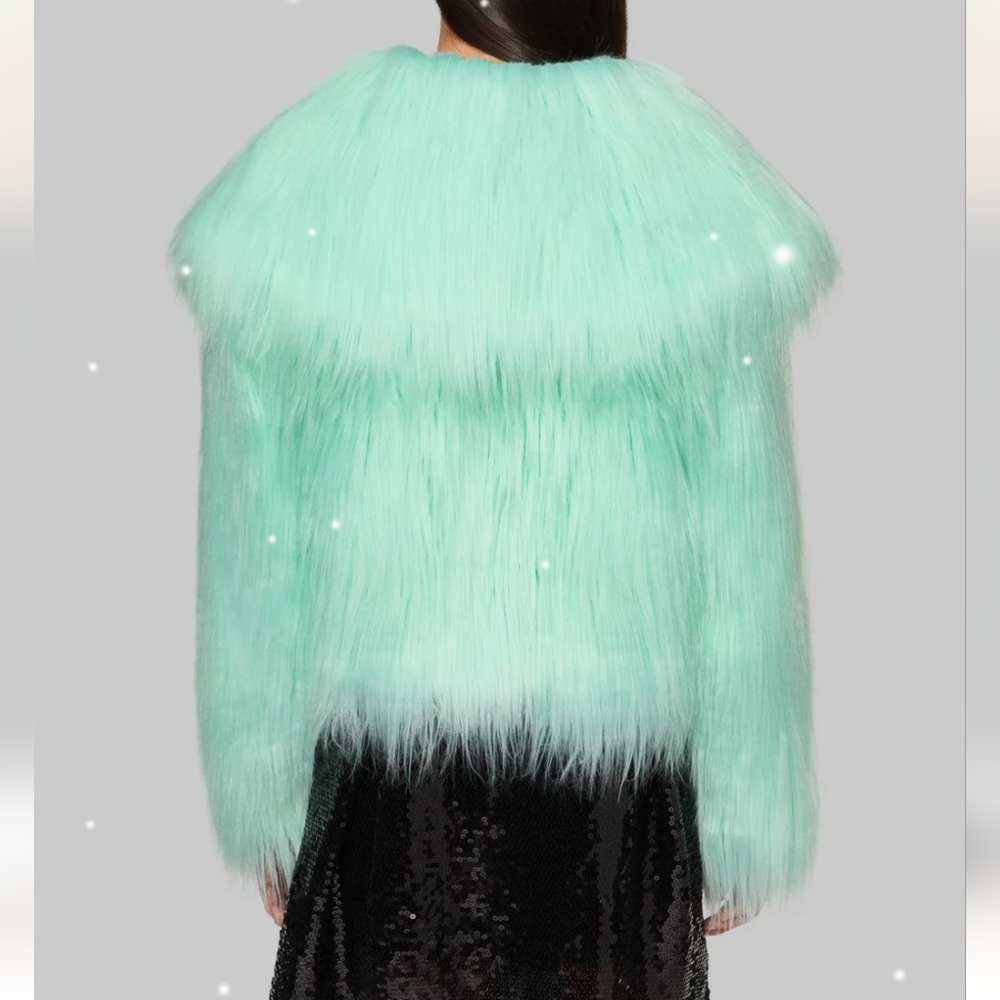 Taylor Swift THE LIFE OF A SHOWGIRL MINT FAUX FUR COAT XL/2XL - Picture 7 of 7